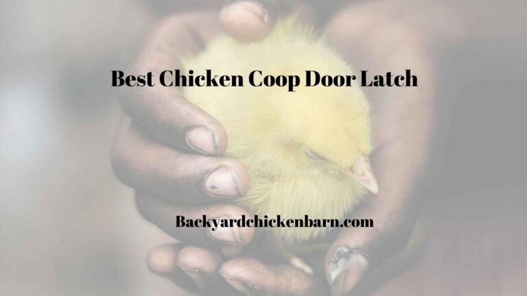 The Best Chicken Coop Door Latch