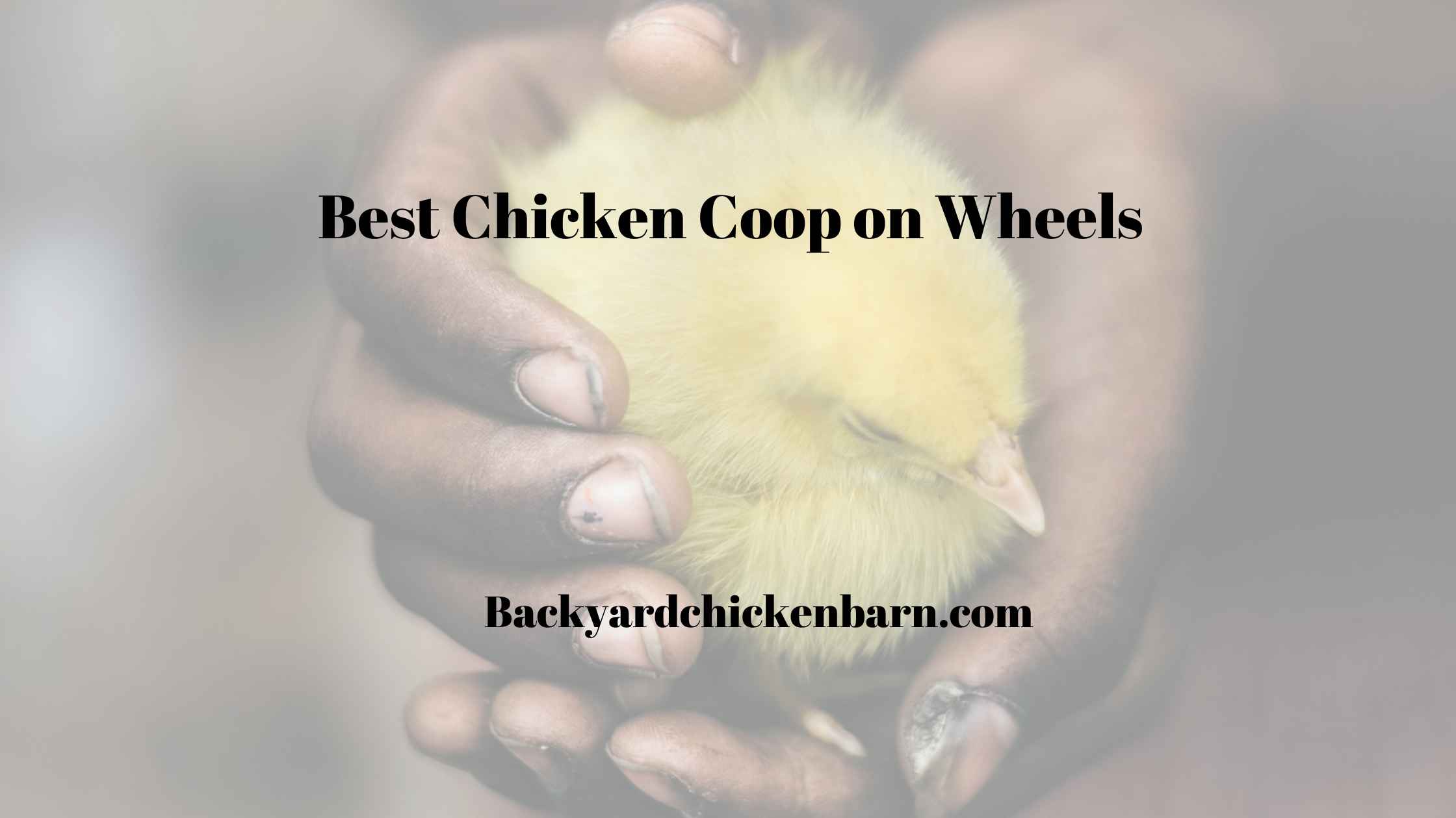 Best Chicken Coop on Wheels