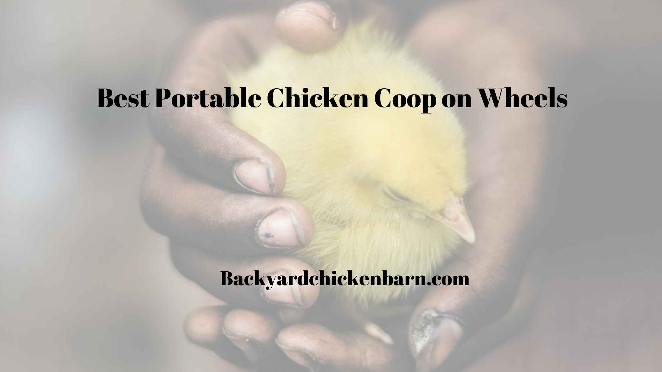 Best Portable Chicken Coop on Wheels