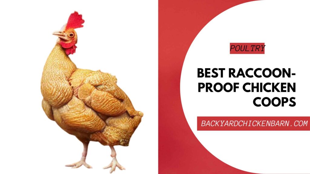 Corid Dosage for Chickens Dosage Chart, Effects, Administration etc