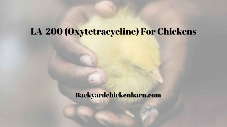 LA-200 (Oxytetracycline) for Chickens – Dosage, Withdrawal etc