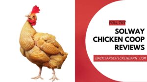Solway Chicken Coop Reviews