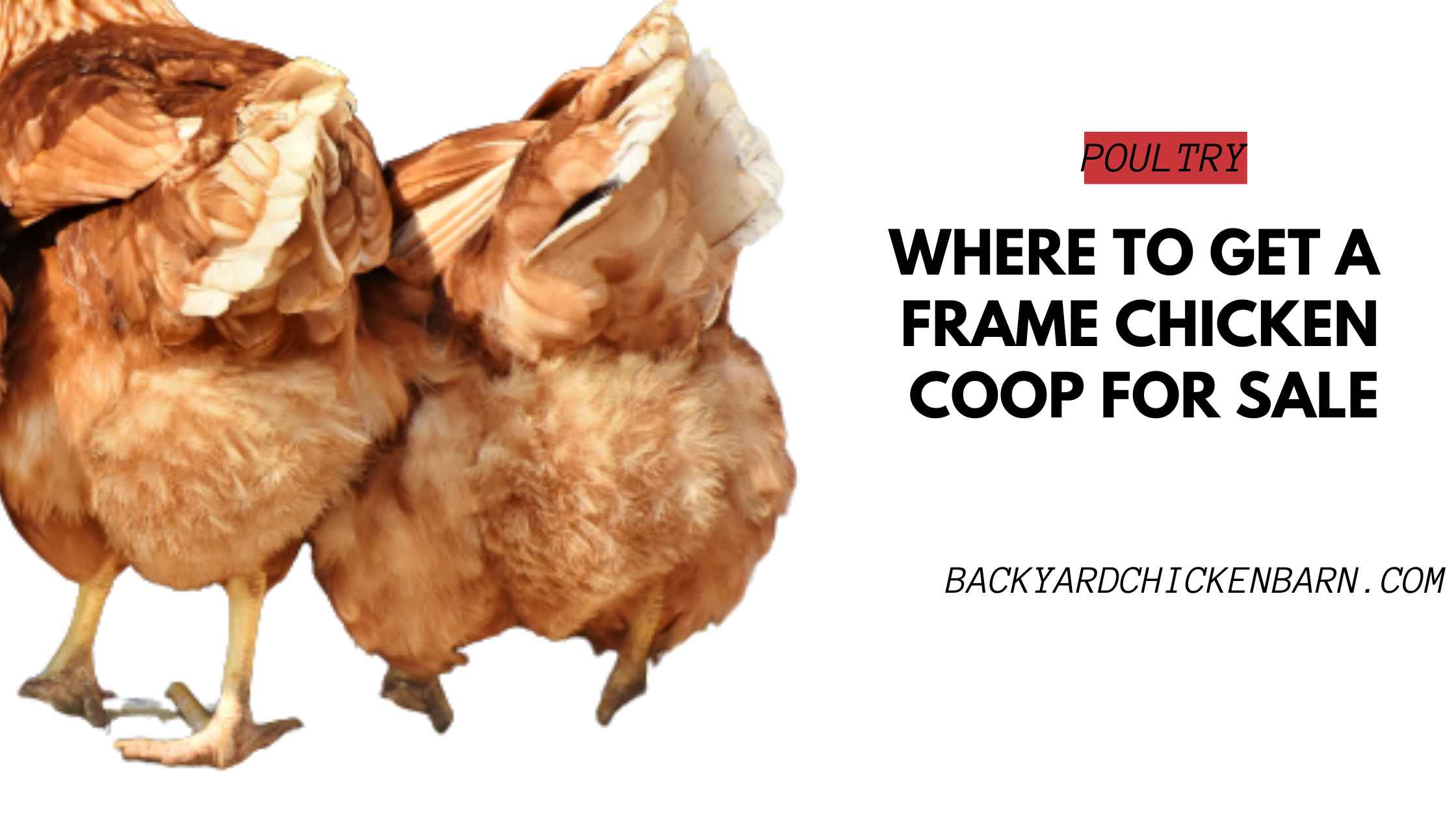 Where to Get a Frame Chicken Coop for Sale