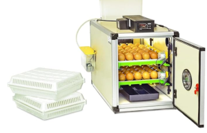 CT60SH Egg Incubator with Automatic Egg Turning