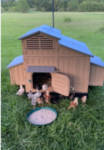 Formex Large Chicken Coop Backyard Hen House